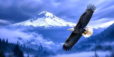 “Have You Had a Spiritual Experience?” – Informal Discussion